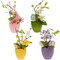 Set of 4 Colorful Spring Flowers with Easter Eggs 7 Inches